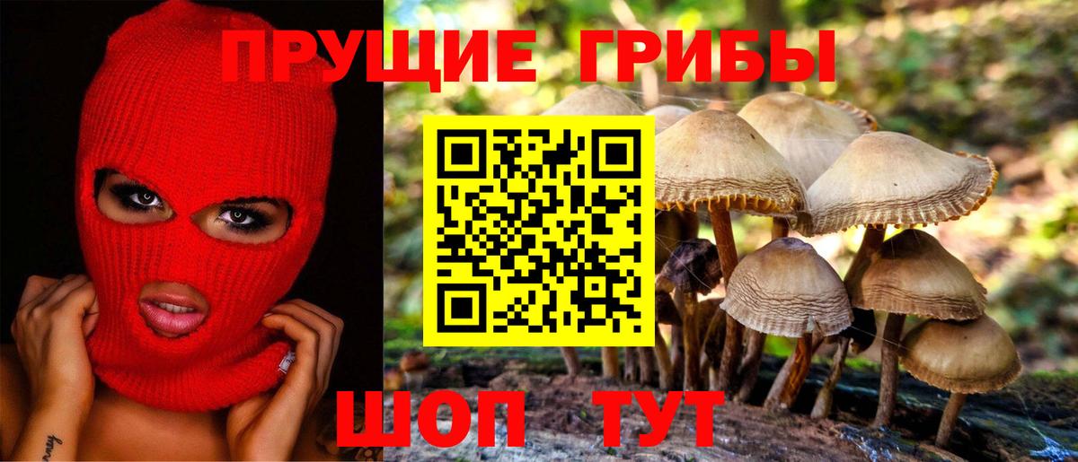 Псилоцибиновые грибы прущие грибы Советская Гавань