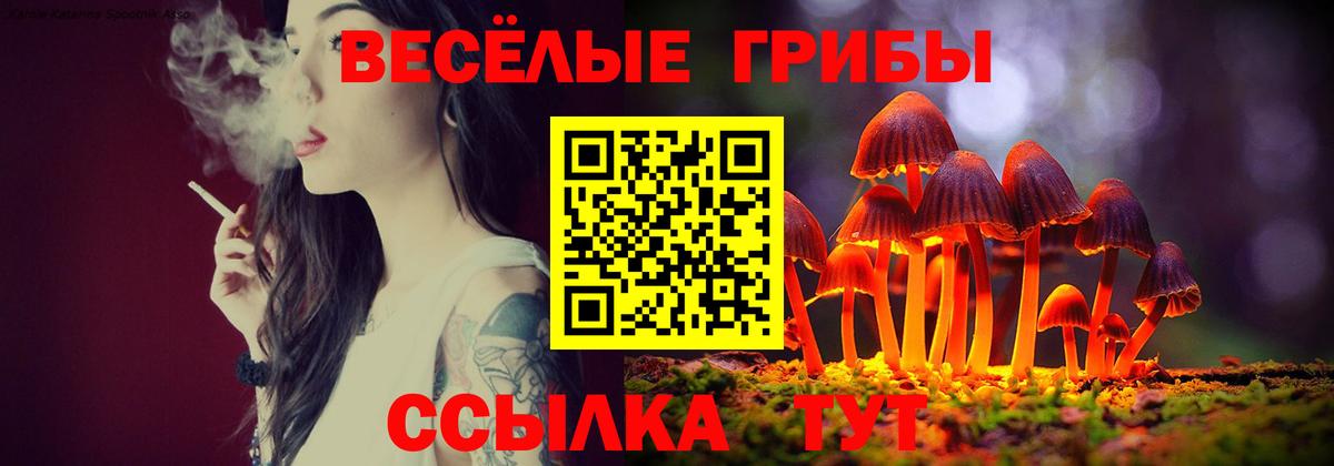 наркота  Вход с VPN  Советская Гавань  Галлюциногенные грибы мухоморы  Галлюциногенные грибы ЛСД 